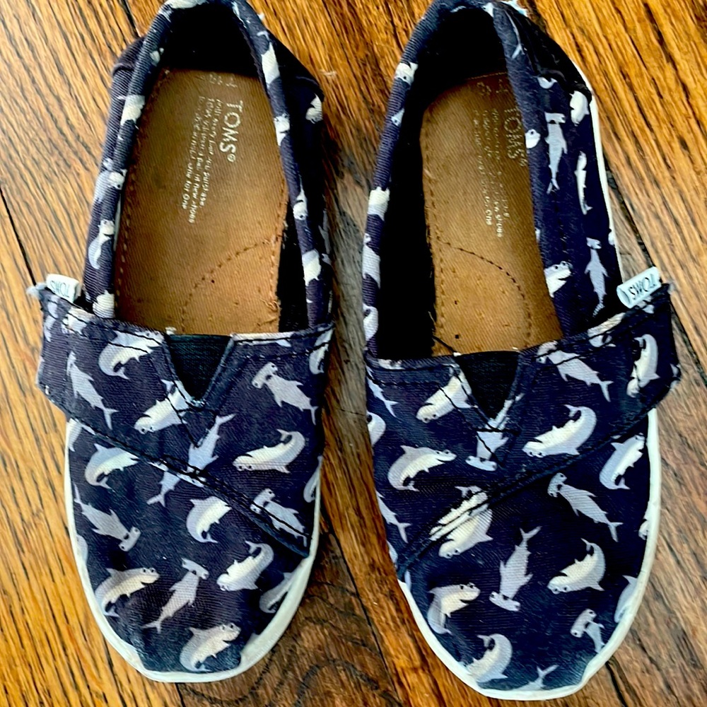 🦈 TOMS Shark Shoes 🦈